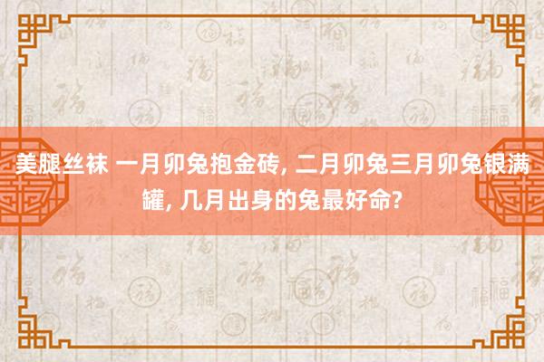 美腿丝袜 一月卯兔抱金砖， 二月卯兔三月卯兔银满罐， 几月出身的兔最好命?