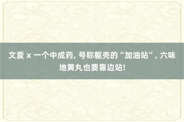 文爱 x 一个中成药， 号称躯壳的“加油站”， 六味地黄丸也要靠边站!