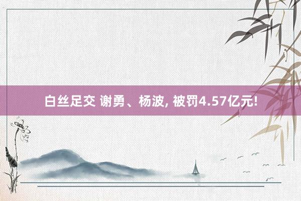 白丝足交 谢勇、杨波， 被罚4.57亿元!