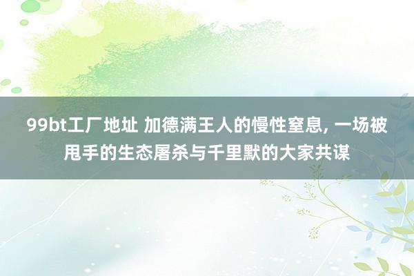99bt工厂地址 加德满王人的慢性窒息， 一场被甩手的生态屠杀与千里默的大家共谋