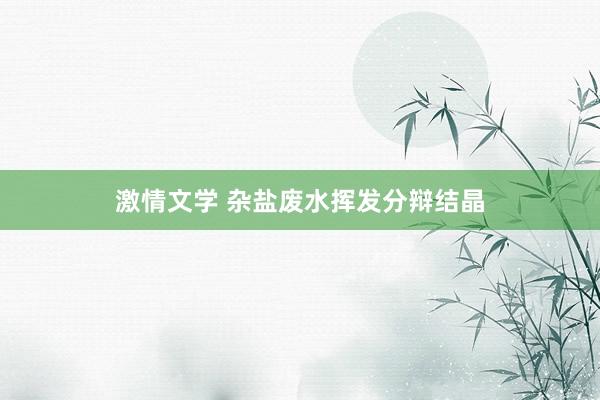 激情文学 杂盐废水挥发分辩结晶